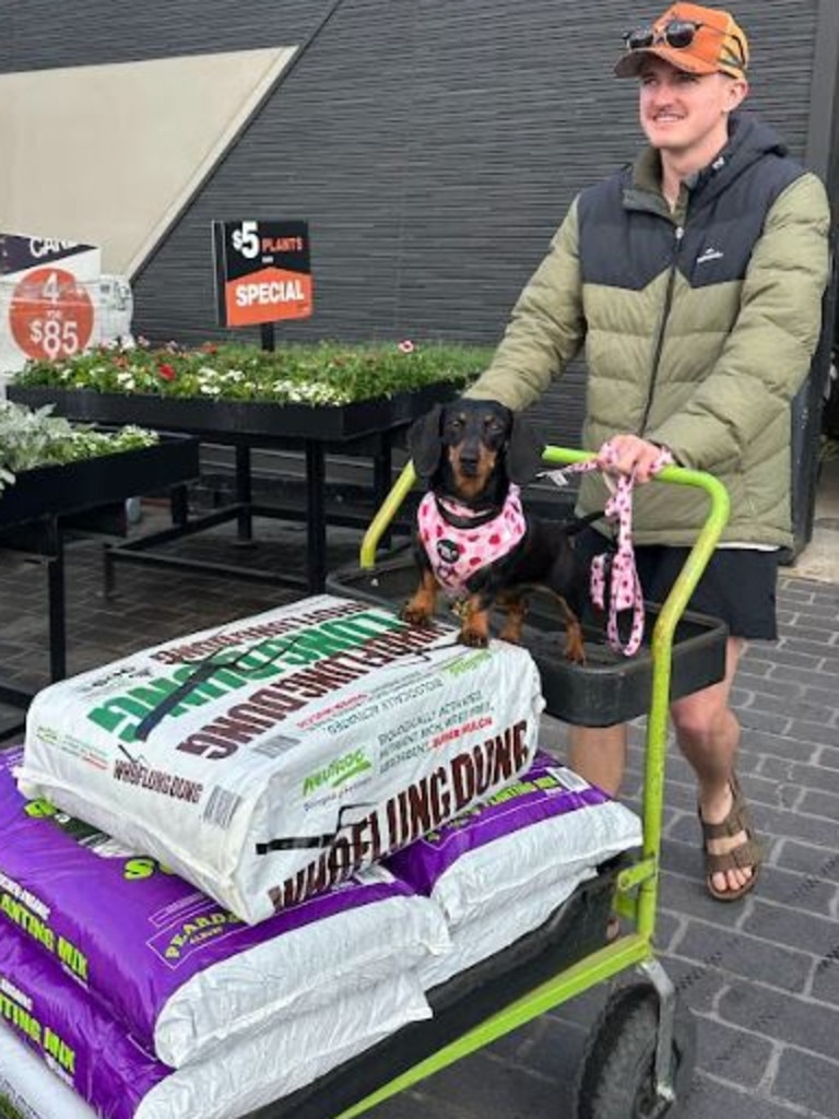 Valerie out and about with owner, Josh Fishlock. Picture: Supplied