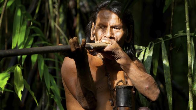 Typical huaorani hunter portrait, waorani reserve, Yasuni national park, Ecuador. Shoot in the jungle in ambient light.