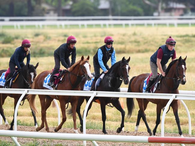 (L_R) The Aidan O'Brien team, Magic Wand, Il Paradiso, Southern France and Hunting Horn are seen during a trackwork session at Werribee Racecourse in Werribee, Sunday, November 3, 2019. (AAP Image/Vince Caligiuri) NO ARCHIVING