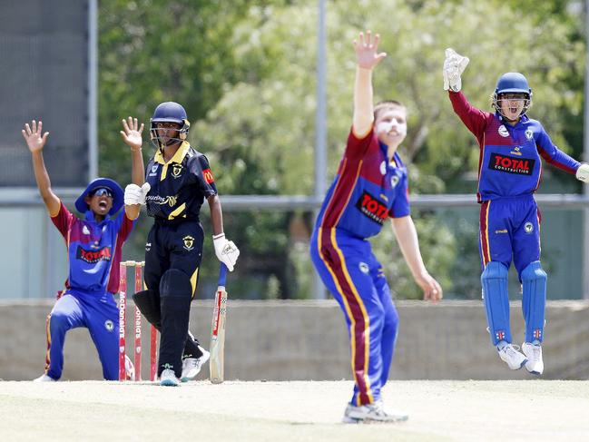 Big appeal from Northern District’s bowler Lachlan Bartlett. Picture: John Appleyard