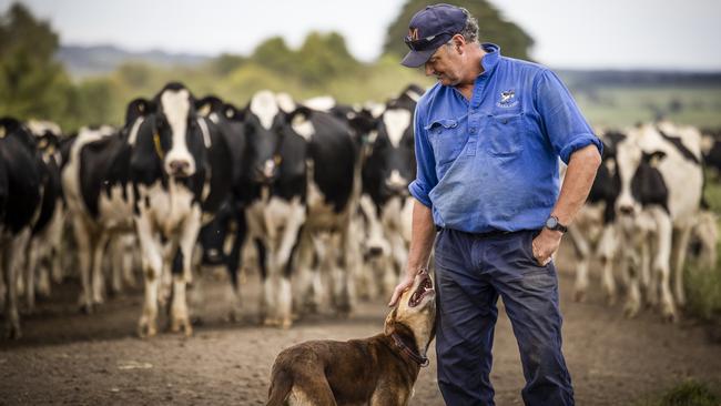 Fourth-generation dairy farmer Mick Billing is still recovering financially from the sudden drop in farmgate prices in 2016. Picture: Nicole Cleary,