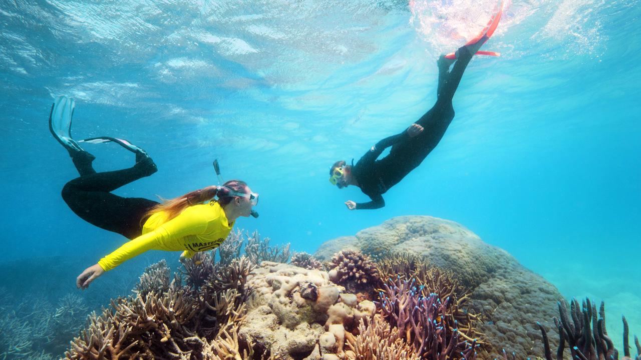 Successive heatwaves have put pressure of the Great Barrier Reef. Picture: Lachie Millard