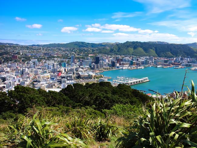 The Wellington Bay and cityscape as seen from Mount Victoria. Wellington, New Zealand. Picture: iStock