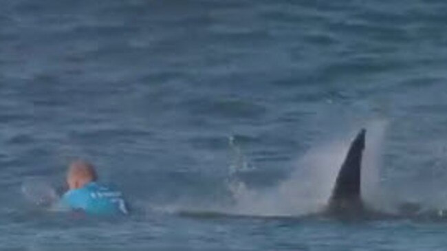 The now iconic image of surfer Mick Fanning being attacked by a shark during competition at the J-Bay surfing event in South Africa. Picture: WSL/Twitter