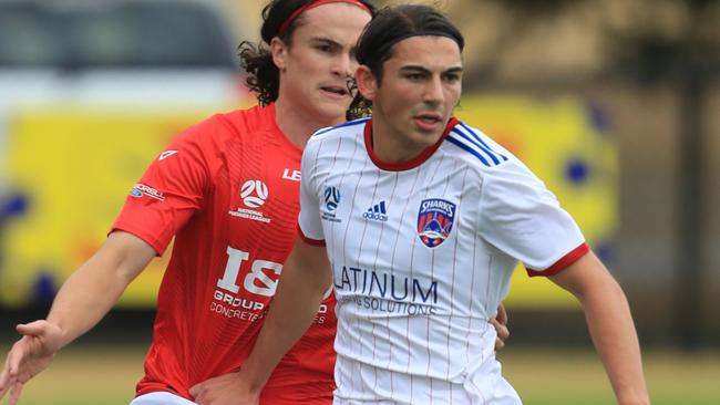 Luca Tevere in action for Port Melbourne. Picture: Mark Wilson