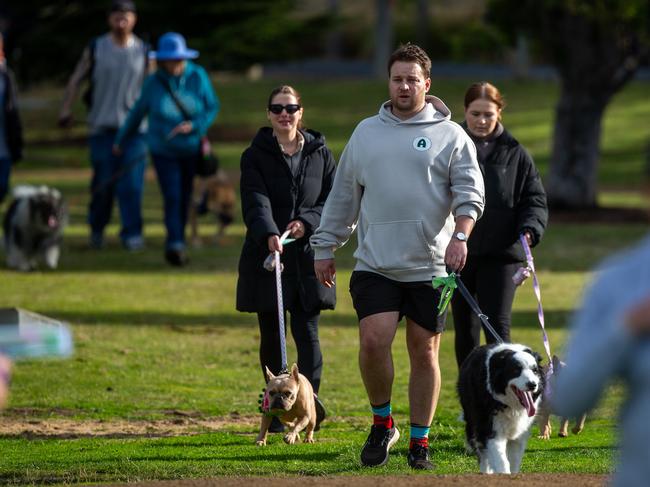 Dog walkers and their dogs at the million paws walk at Queens Domain in Hobart in Sunday 25th May 2025. Picture: Linda Higginson