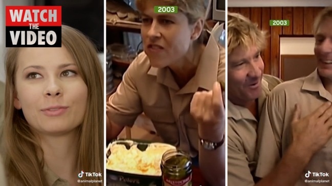 TikTok video shows sweet moment Steve Irwin finds out about Terri's pregnancy