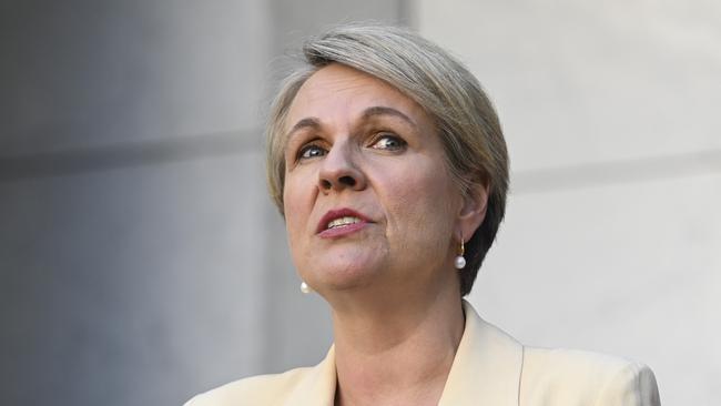 Environment and Water Minister Tanya Plibersek. Picture: NCA NewsWire / Martin Ollman
