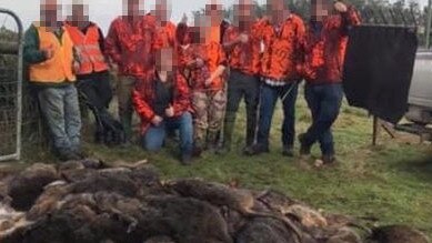 The alleged Facebook post boasting of marsupial massacre, northern Tasmania