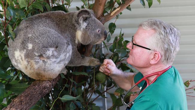 Currumbin Wildlife Hospital Senior Vet Dr Michael Pyne. Picture: supplied