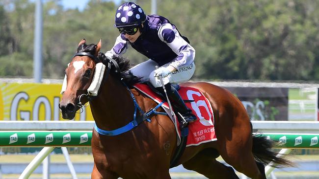 Glorious Ruby is drawn to get a nice run at Doomben. Picture: Trackside Photography
