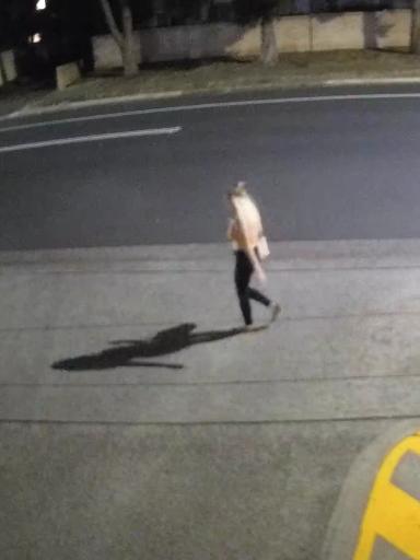 She was seen walking through a car park the night she disappeared. Picture: NSW Police