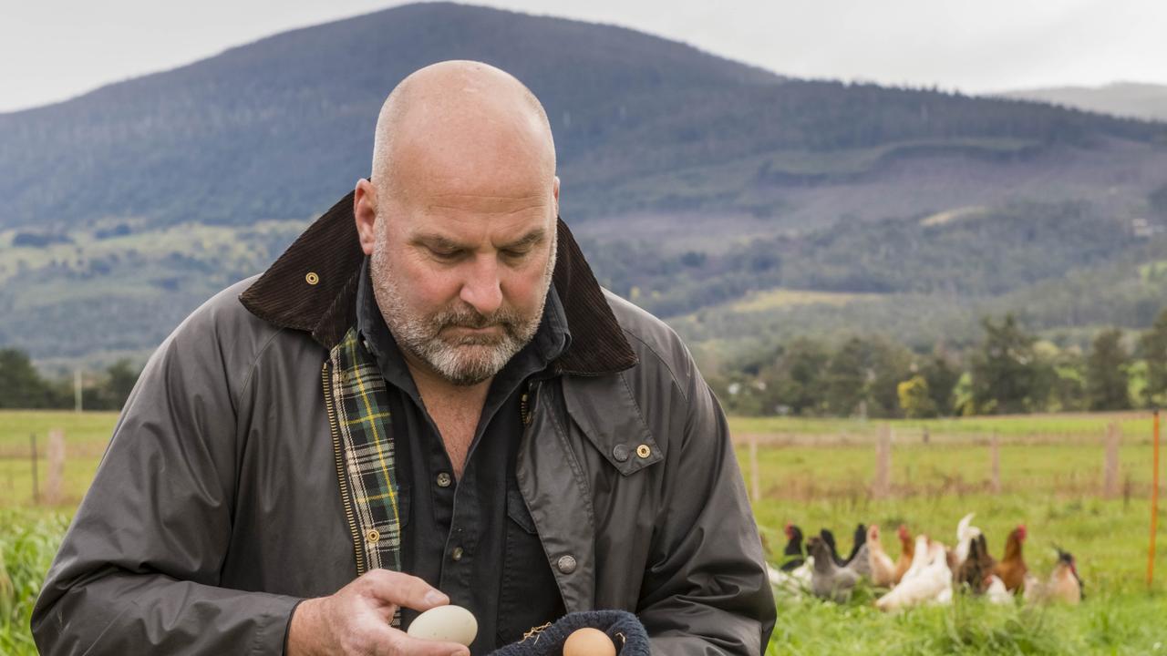 Nick Haddow founded Glen Huon Dairy last year to supply milk to Bruny Island Cheese. Picture: Phillip Biggs