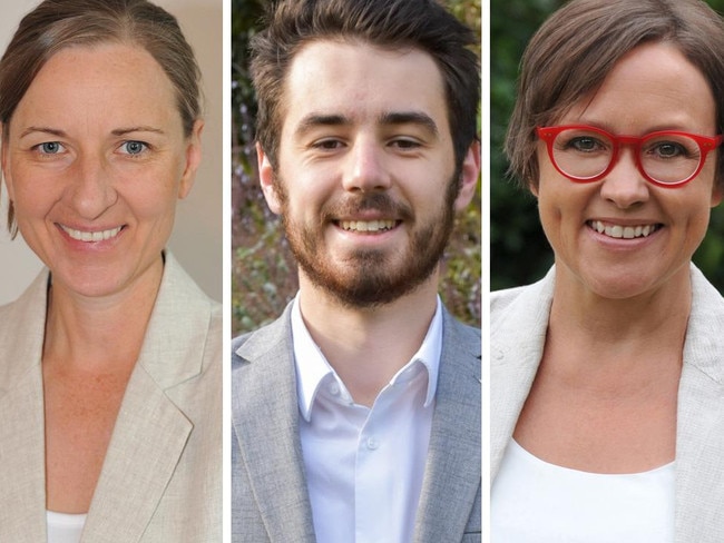 Profiled: The candidates battling it out for Hornsby Council