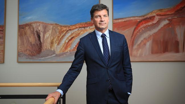 Energy Minister Angus Taylor. Picture: John Feder