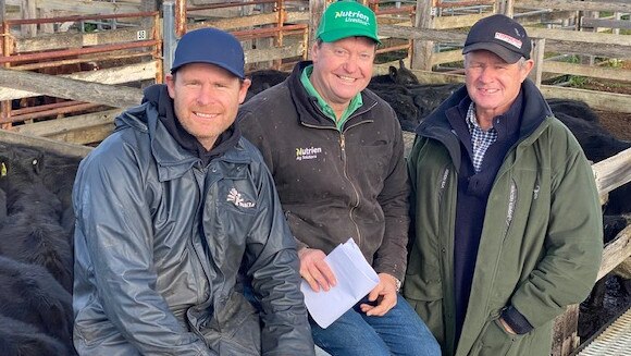 Vendors Luke and Andrew Balkin with Nurtrien Casterton agent Andrew Harrison (centre). Picture: Kate Dowler