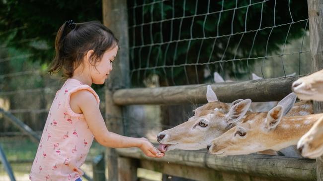 Kids can score free entry to Featherdale Sydney Wildlife Park.