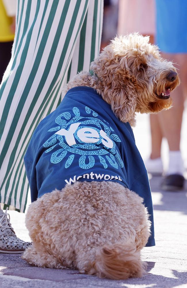 Pups give their support at Bondi Beach. Picture: Sam Ruttyn