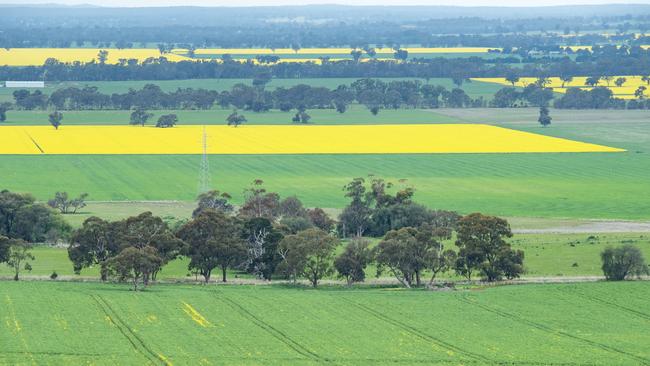 Queensland farmer are more optimistic.