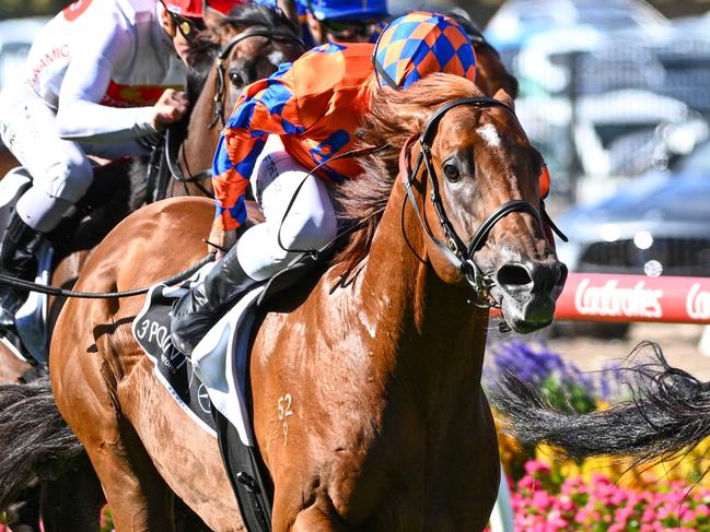 MELBOURNE, AUSTRALIA - MARCH 23: Opie Bosson riding Imperatriz defeats Rhys McLeod riding Johnny Rocker in Race 8, the 3 Point Motors William Reid Stakes, riding during Melbourne Racing at Moonee Valley Racecourse on March 23, 2024 in Melbourne, Australia. (Photo by Vince Caligiuri/Getty Images)