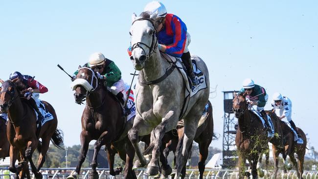 Emerging mare Sea What I See will shoot for her fifth straight win when she steps out at Mornington on Saturday. Picture: Racing Photos via Getty Images