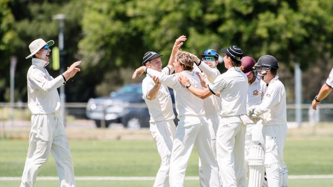 Adelaide University players celebrate a wicket during their clash with Tea Tree Gully on Saturday, December 7. Picture: AAP/ Morgan Sette