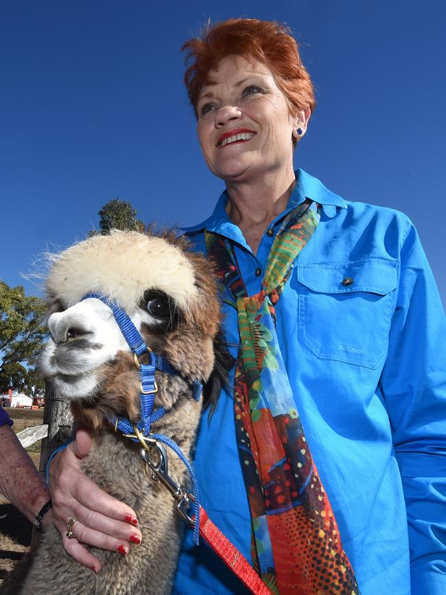 Then there was Pauline Hanson, the Ipswich fish and chip shop owner disendorsed from the seat of Oxley by the Liberals. Picture: Dan Peled