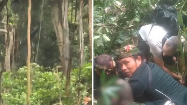 Heavy rains caused a large tree to fall in Monkey Forest, in Ubud, in Bali on Tuesday.