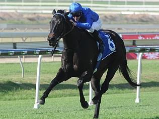 Ghisoni ruled out of Tatt’s Tiara