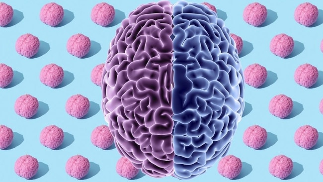 cortisol pill may halt dementia