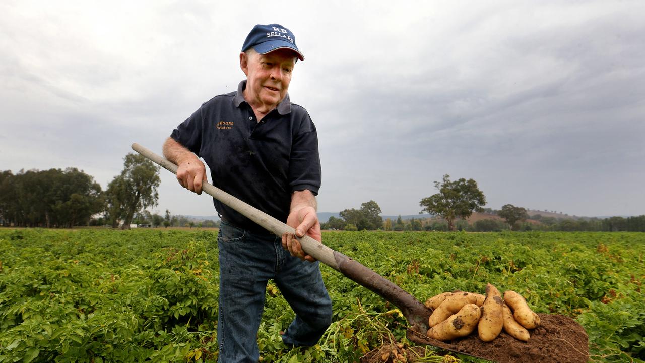 Potato farmers are struggling to keep up as the cost of production soars. Picture: David Geraghty / The Australian