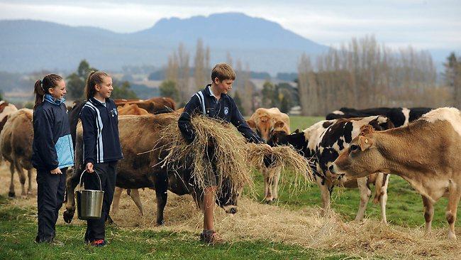 Hagley Farm students