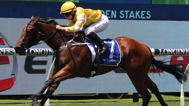 Queen Of The Ball was good winning the Black Opal last week and a drying track will boost her chances. Picture: Grant Guy