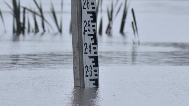 The Clarence River exceeded the 2.1m minor flood level at Grafton in the early afternoon on Wednesday, 16th December, 2020. Photo Bill North / The Daily Examiner