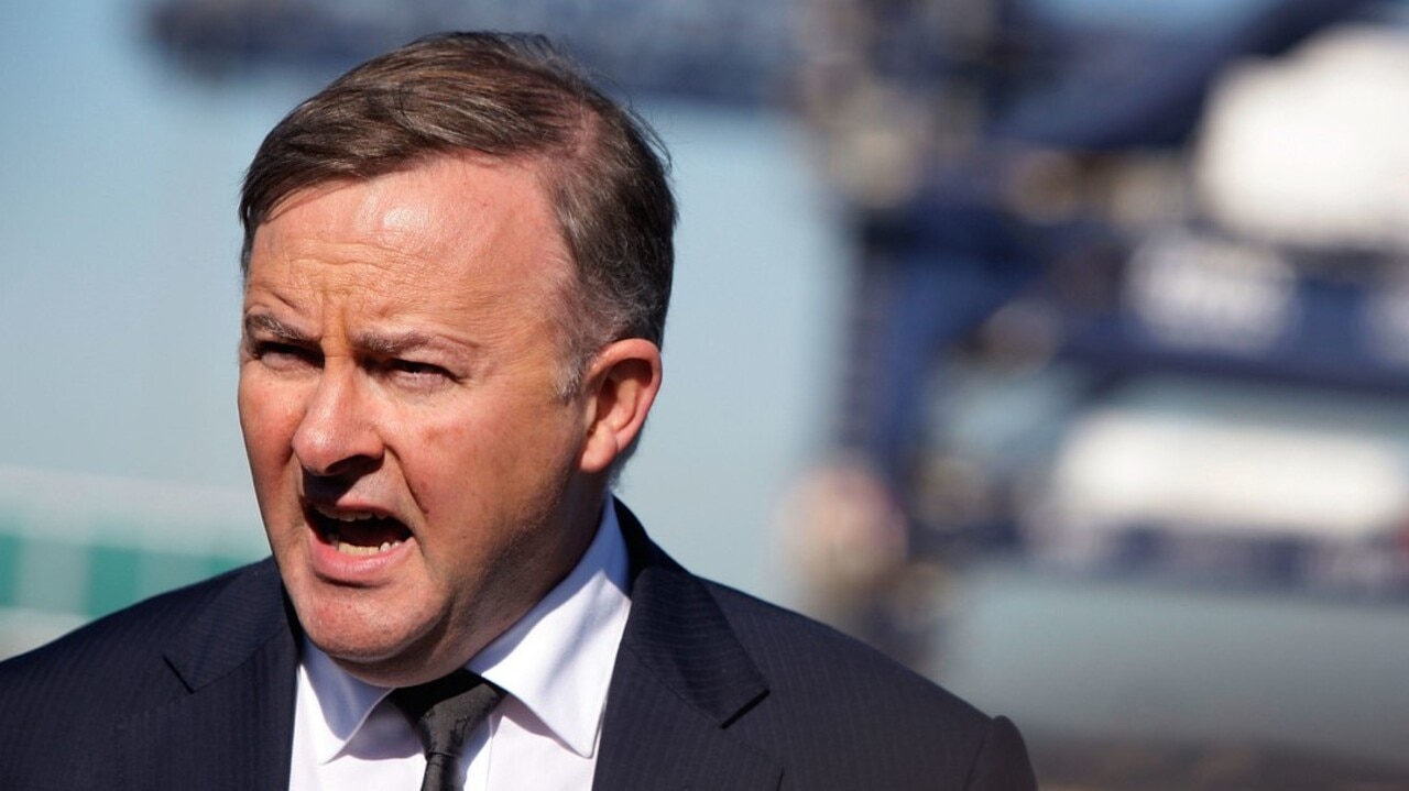 Albanese: Federal government 'incapable of moving forward' on climate change