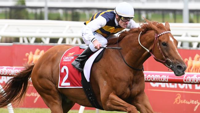 Gailo Chop will contest the Underwood Stakes at Caulfield. Picture: Getty Images