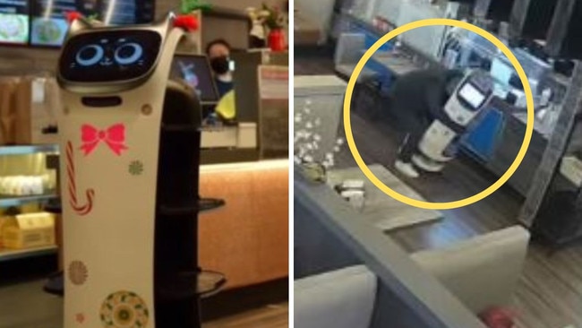 Man attempts to steal $29k robot server