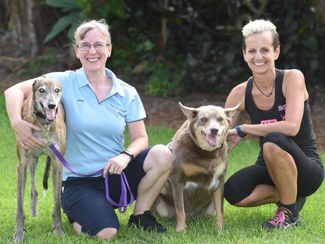 Jayne Horner with her dog Daisy and Ingrid Irwin with her dog Rastus. Picture: Lawrence Pinder