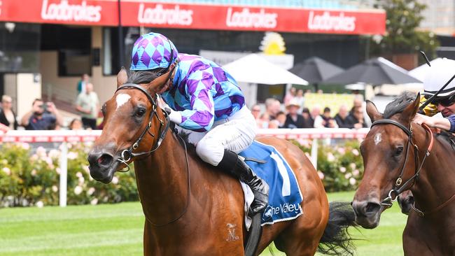 Jenni's Meadow, ridden by Daniel Stackhouse, wins at Moonee Valley Racecourse in December last year. Picture: Pat Scala / Racing Photos