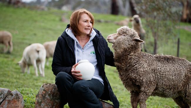 Kym Henley of Freedom Hill Sanctuary holds the ashes of Matey the sheep. Picture: Matt Turner