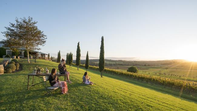 Scenic views across Cupitt's Winery in Ulladulla.