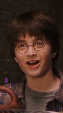 Harry Potter TV series