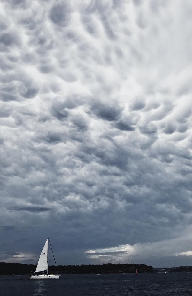 Sydney is expected to be hit with a storm later this week. Picture: Dylan Robinson