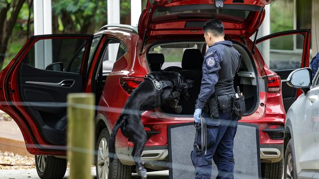 Homicide Squad detectives at the Leongatha house of Erin Patterson. A police officer and dog search her car. Picture: Ian Currie