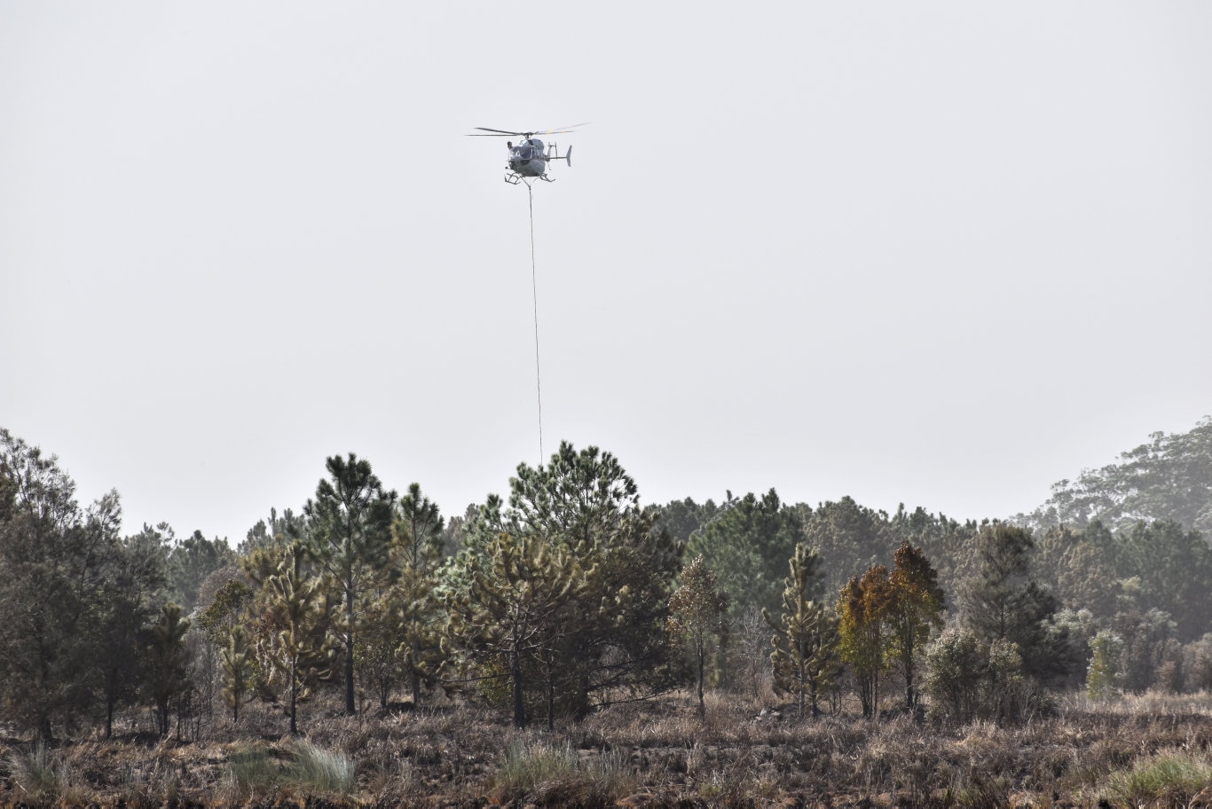 Firefighting helicopters waterbombing the fire at Duranbah.