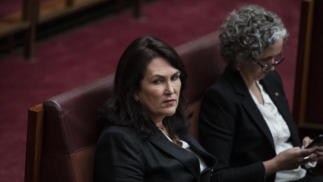 Labor Senator Deborah O'Neill called out the troubling tender. Picture: Gary Ramage