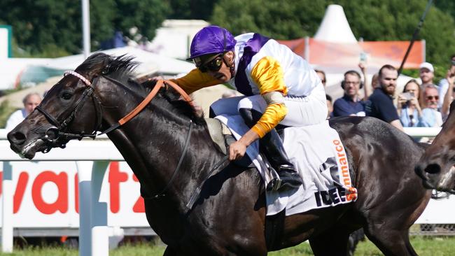 Sammarco, winning the 2022 German Derby, will make his debut for trainer Ciaron Maher at Sandown on Saturday. Picture: Marcus Brandt/picture alliance via Getty Images