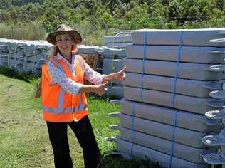 Environmental Strategies Officer at Lismore City Council, Sharyn Hunnisett is excited to get Australia's first floating solar panels installed at the sewage ponds on Wyrallah Road. Picture: Samantha Poate