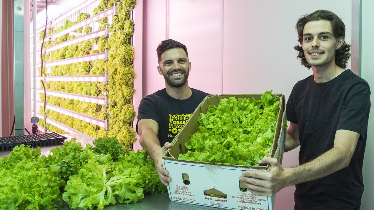 Picking up the lettuce to distribute across Towoomba are OzHarvest Queensland manager Anthony Dunne (left) and student Zaccory Bergmann. Picture: Kevin Farmer