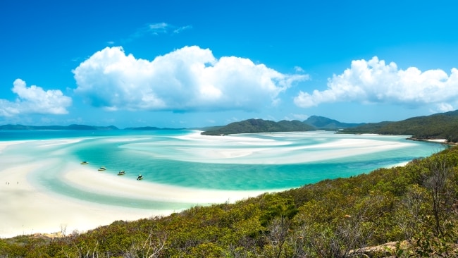 Take a bike: Riding the Ancient Rainforest Trail in the Whitsundays ...